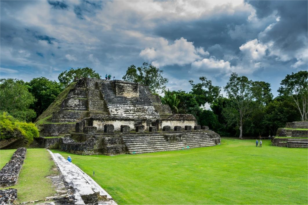 Section Image