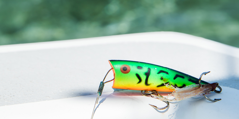 Fishing in Belize – Everything You Need To Know
