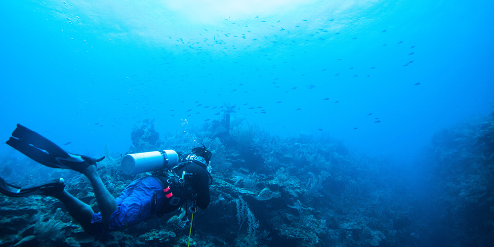 Scuba Diver in Your Life?  See What Belizean Shores Resort Offers
