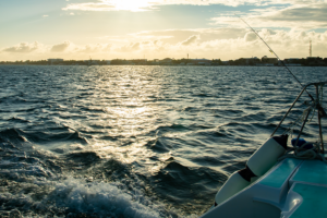 Deep-Sea Fishing Image
