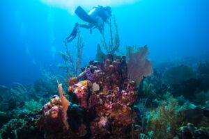 Prepare for your Belize Tour
