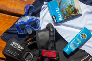 Underwater Delights in the Caribbean