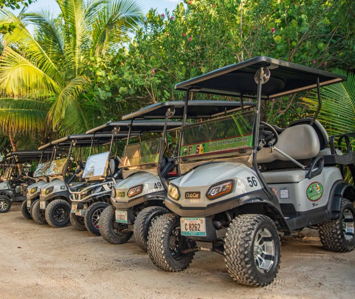 ONSITE Golf Cart RENTALS Image