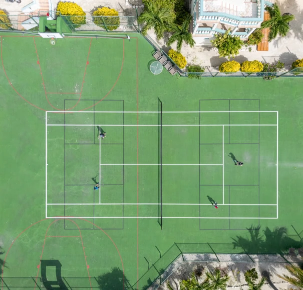 Section Image
