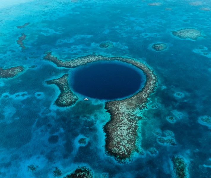 Section Image