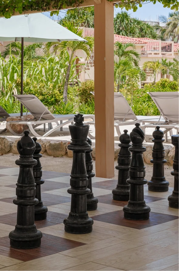 Section Image