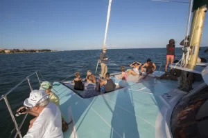 catamaran-sailing