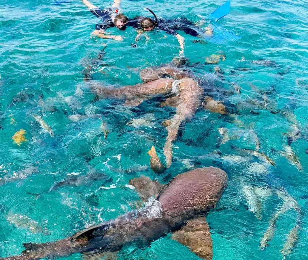 Experience Activity Image