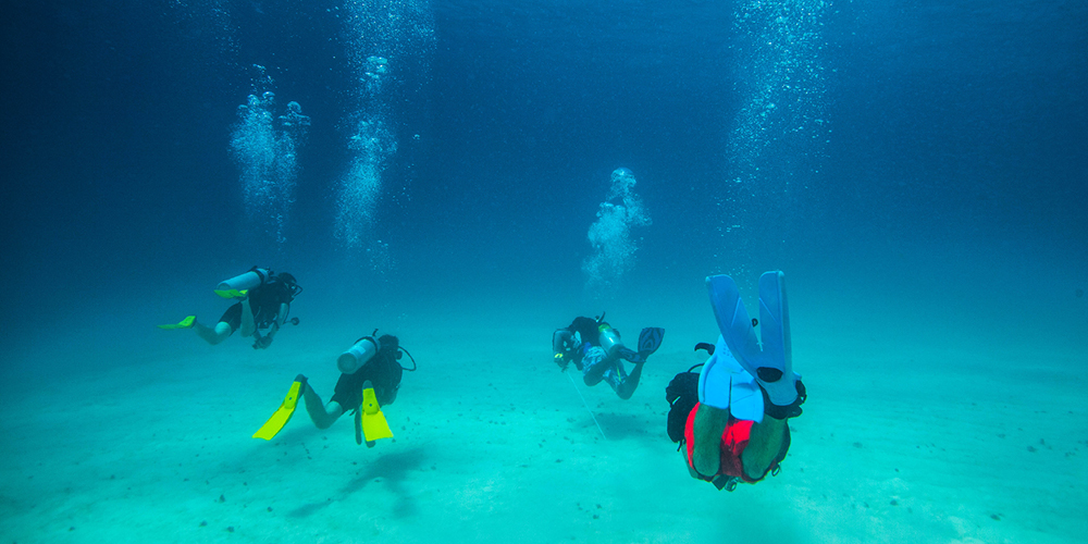 Diver’s Ultimate Spring Break Belize Itinerary!