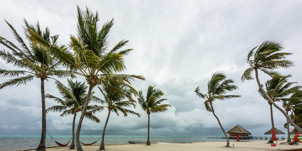 What You Need to Know About Green Season in Belize
