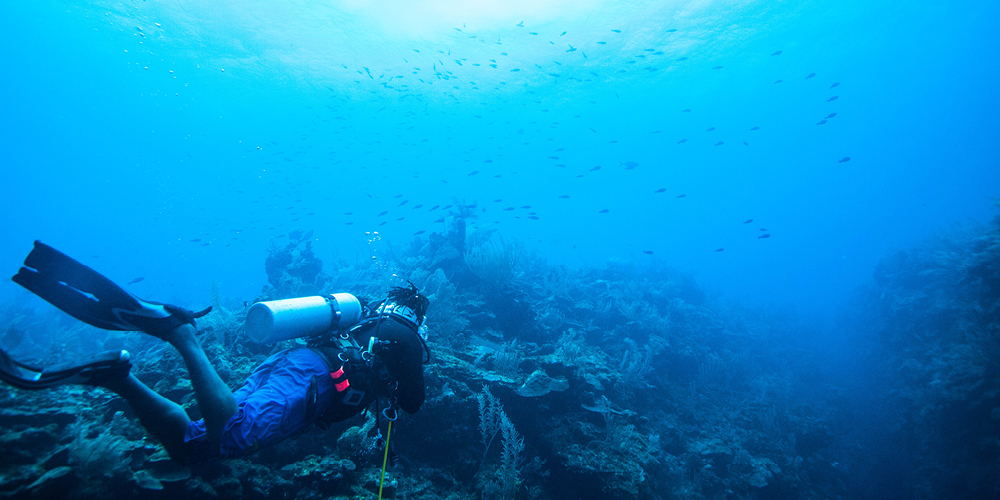 Roundup of the Best Scuba Diving Sites in Belize