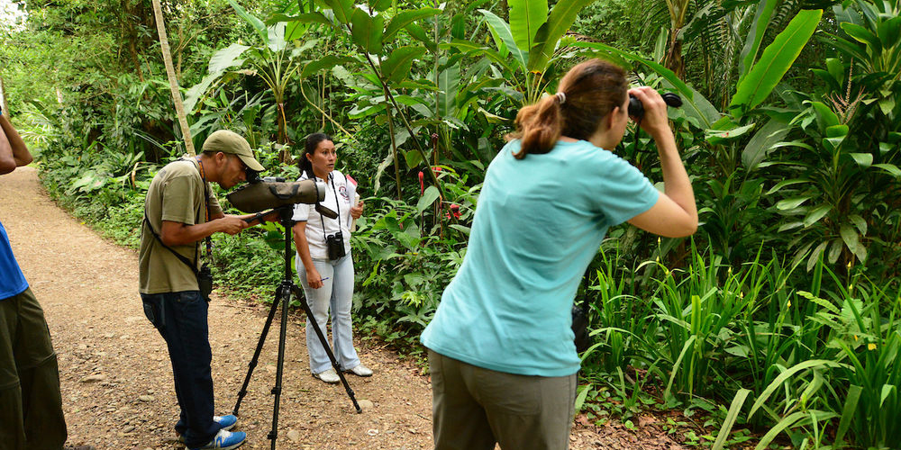 Birding in Belize- What You’ll See and Where to Go