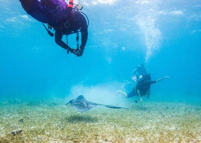 Six Reasons to Choose Belize for Family-Friendly Scuba Diving Adventure