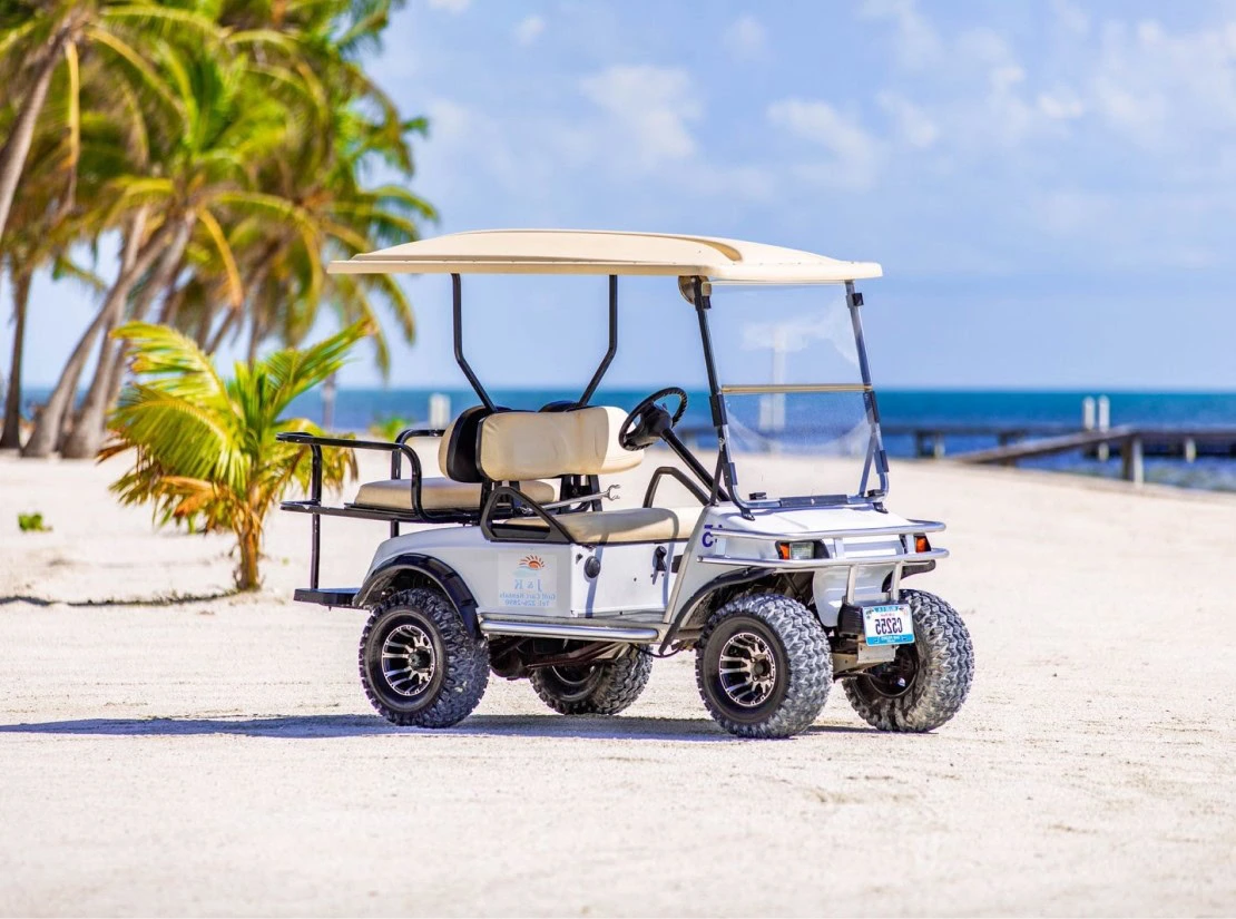 4 Seat Golf Cart