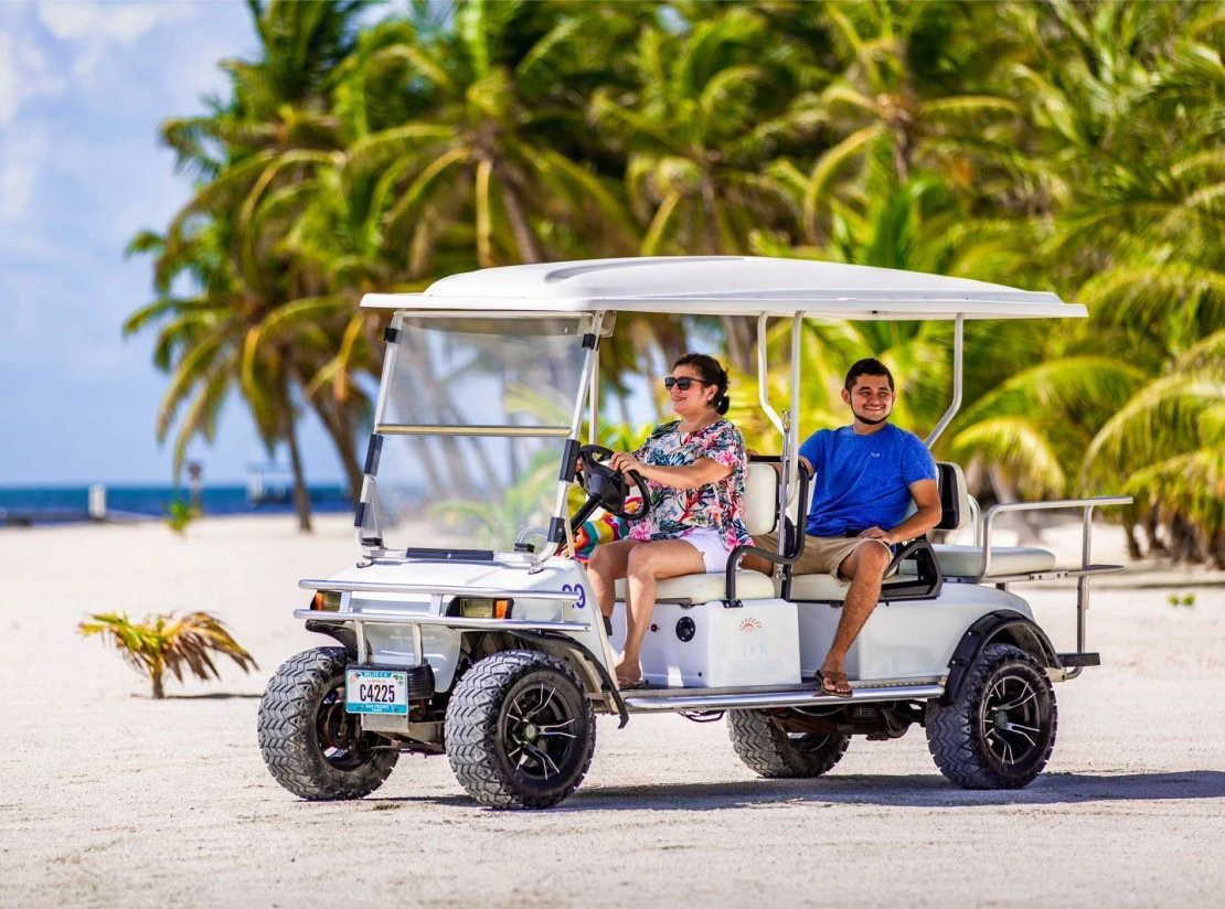6 Seat Golf Cart