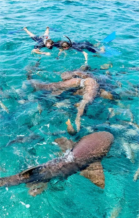 Scuba Diving