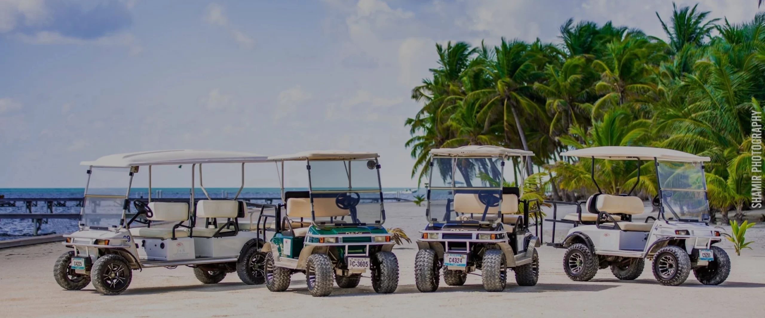 Golf Cart Rental