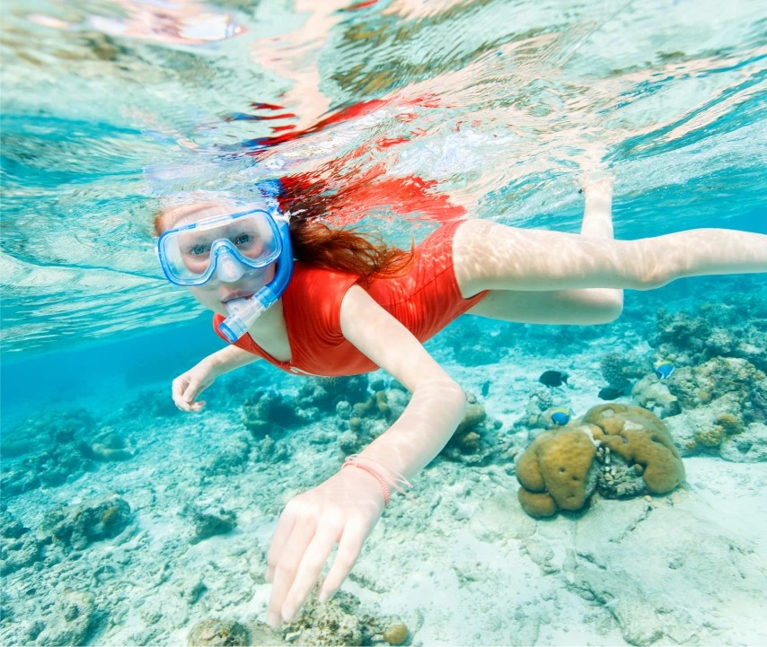 Scuba Diving